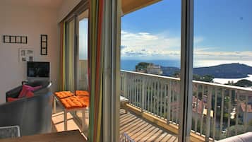 Smart TV, video games, books, video library