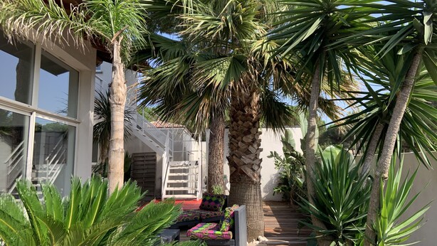 A modern outdoor area with a wooden deck, a staircase, and a variety of tropical plants. - Your Exceptional Getaway in Le Grau-d'Agde: Architect-Designed Villa with Private Pool (Agde)