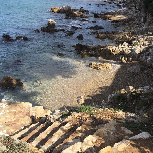 بالقرب من الشاطئ