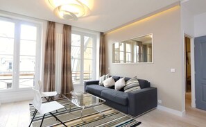 Télévision, cheminée, lecteur de DVD, livres