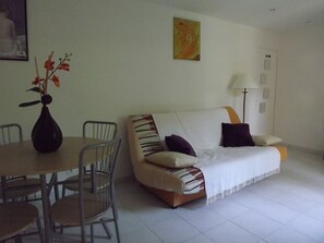 TV, DVD player, books, video library