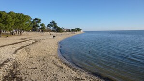 A beach with a sandy shore, trees, and a clear sky. - HOUSE WITH HEATED SWIMMING POOL 50 M FROM ANDERNOS BEACH (Andernos-Les-Bains)