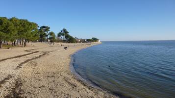 Plage, serviettes de plage