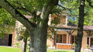 A large tree in front of a building with a tiled roof and wooden shutters. - Gîte with SPA in a large park in the heart of Périgord ( Monpazier-Dordogne) (Capdrot)