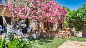 Een binnentuin met een stenen muur, een pergola met roze bloeiende bomen en een zitgedeelte met tuinmeubilair.