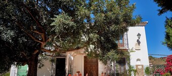 Pool, tennis, have nær strandene i Malaga i sommerhus mango og avocado