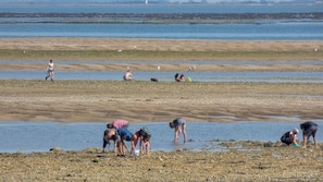 A beach with people engaging in various activities.