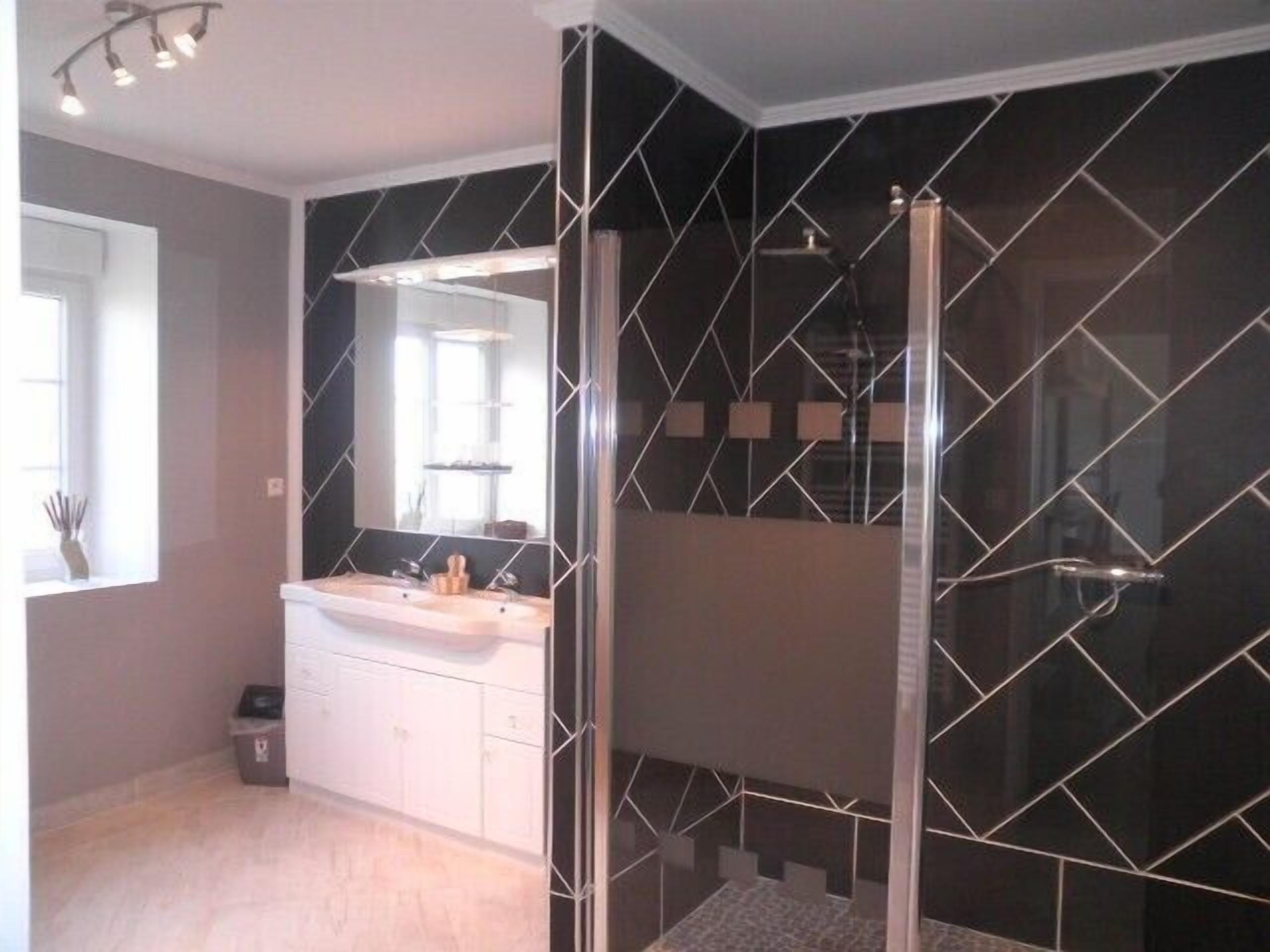 Shower, hair dryer, toilet paper