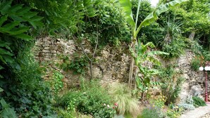 A stone wall with lush greenery and various plants. - "Charming troglodyte house near Sarlat (Vitrac)
