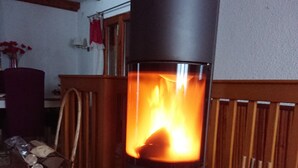 Ein Kaminofen mit sichtbarem Feuer auf einem Holzboden.