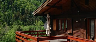Large and beautiful wild cottage with sauna Alsace