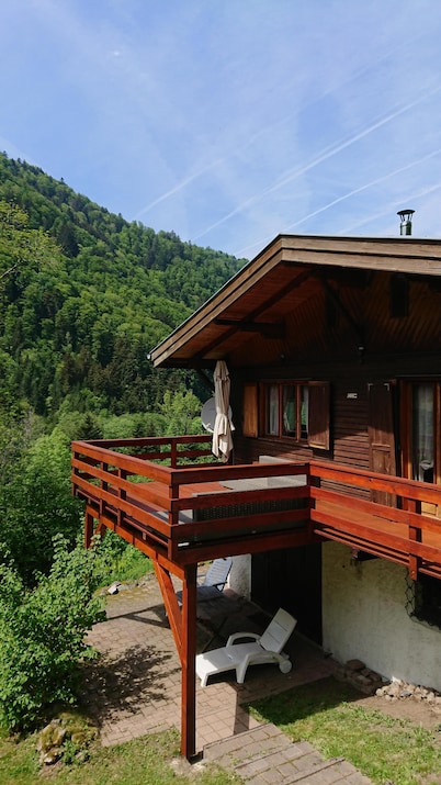 Large and beautiful wild cottage with sauna Alsace