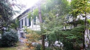 Uklassifisert bilde, 3 av 24, knapp
