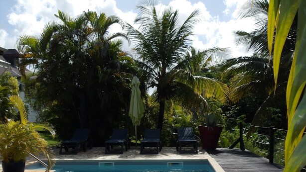 A rectangular swimming pool with clear blue water, surrounded by lounge chairs and potted plants. - SEASONAL RENTAL VILLA STANDING 3/4 PERS (2 ADULT / 2 NFE). POOL SPA SAUNA (Le Moule)