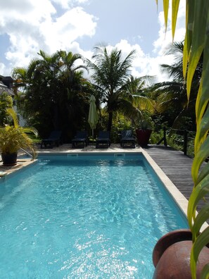 A rectangular swimming pool with clear blue water, surrounded by lounge chairs and potted plants. - SEASONAL RENTAL VILLA STANDING 3/4 PERS (2 ADULT / 2 NFE). POOL SPA SAUNA (Le Moule)