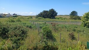 A rural landscape with a clear sky, a fenced field, and a large tree in the distance.