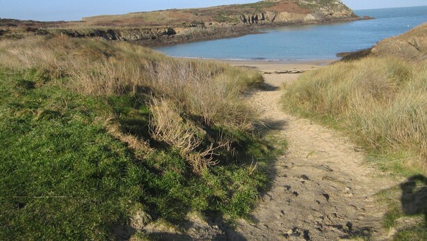 A coastal path leading to a beach with grassy dunes and a rocky outcrop in the distance.
