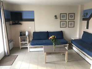 Televisión, reproductor de DVD y videoteca 