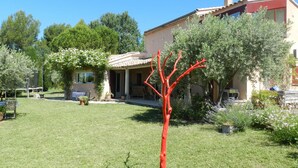 Ein Haus mit Terrasse, ein Garten mit einem roten Baum und einem strahlend blauen Himmel.