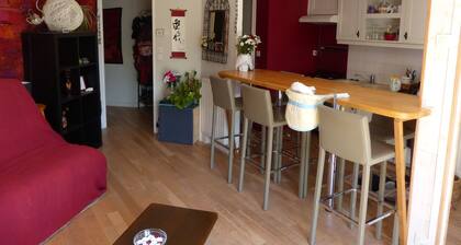 Vast T2 60m² duplex. Near ferry terminal, beach and Conleau PIBS