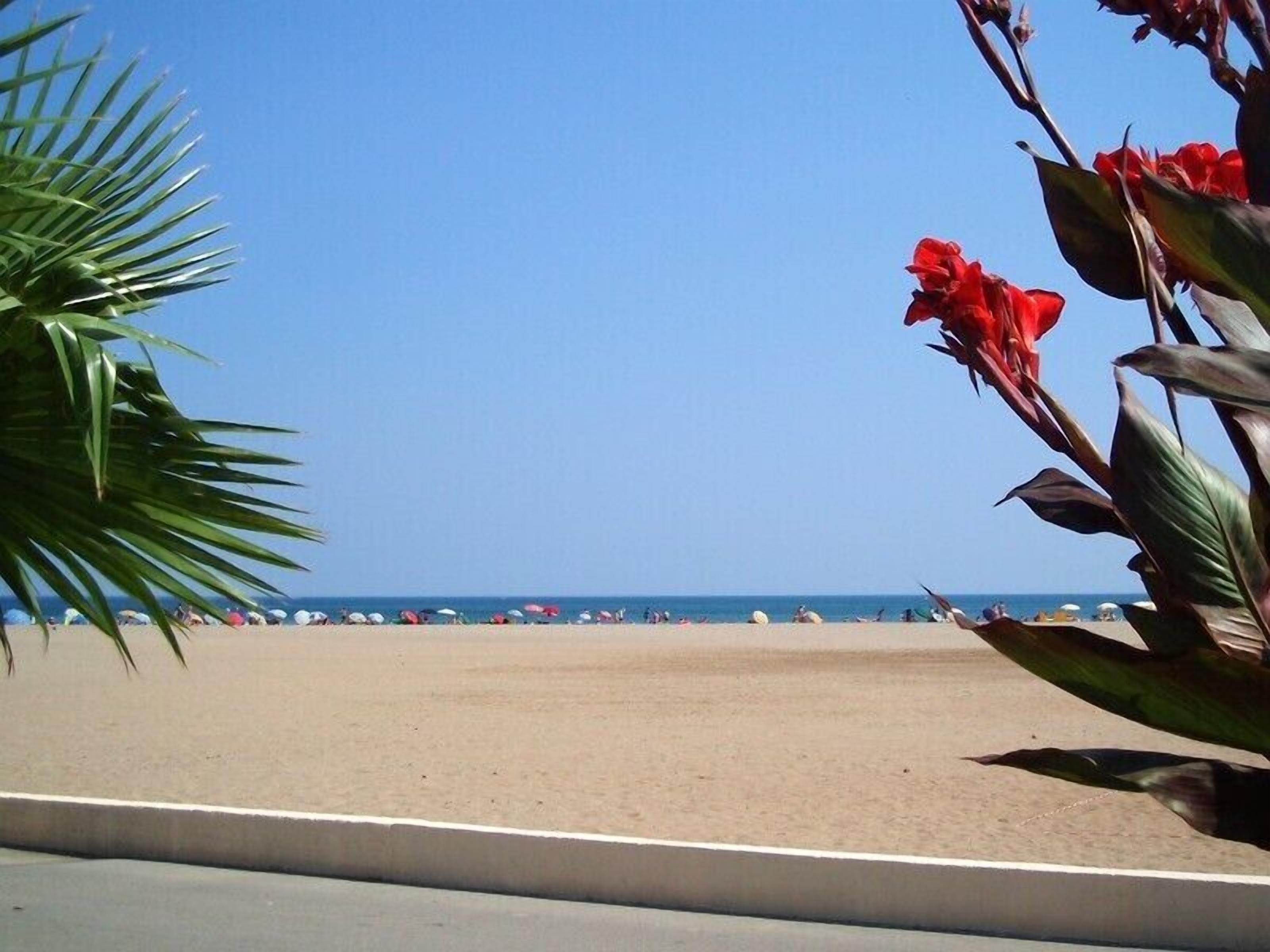 Accommodatie ligt op het strand