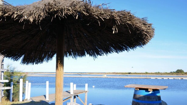 A wooden dock with a thatched umbrella, a barrel, and a calm body of water in the background. - Saint pierre home Sea + terrace and panoramic mediterrannée. (Fleury)