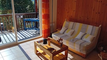 Télévision, lecteur de DVD, livres