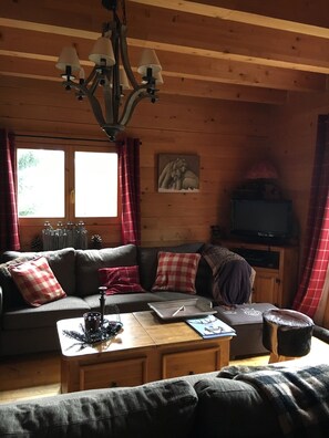 TV, fireplace, DVD player, books