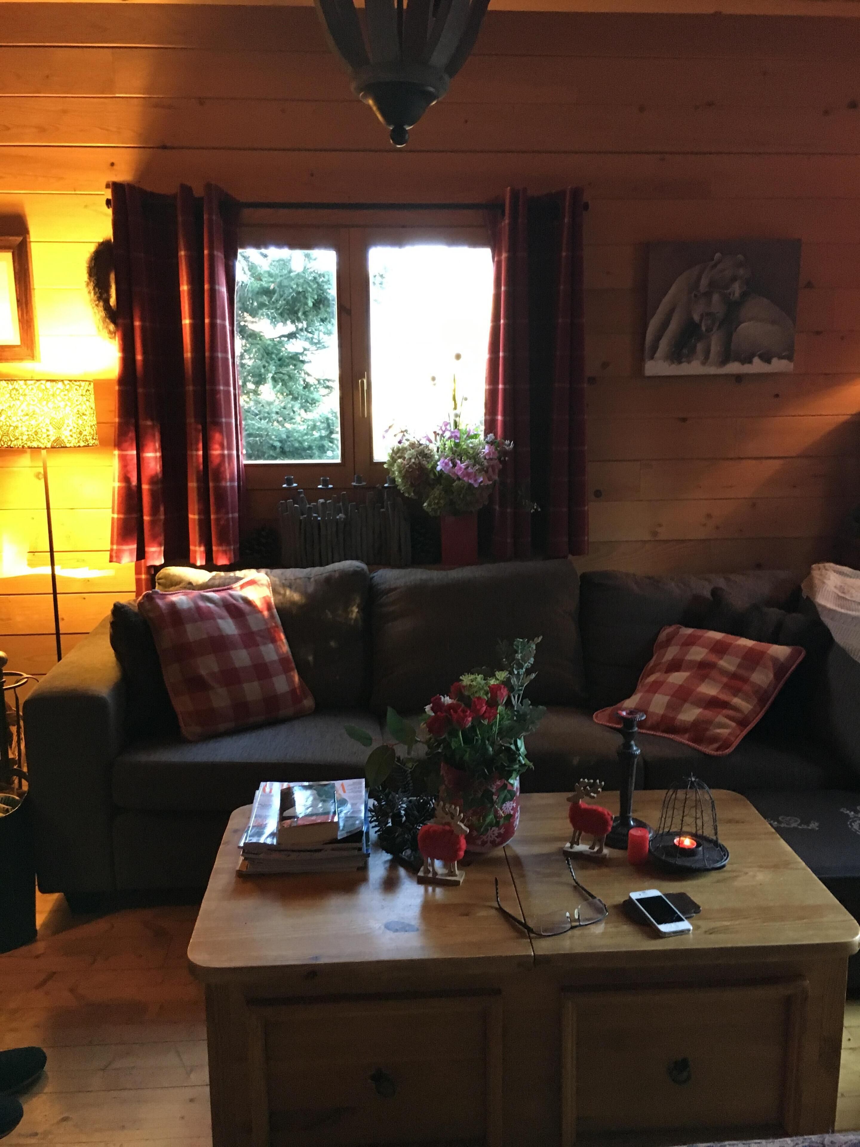 Televisie, een open haard, een dvd-speler en boeken