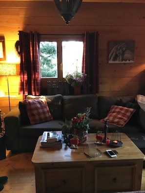 Televisión, chimenea, reproductor de DVD y libros 