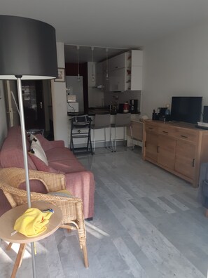 TV, DVD player, books