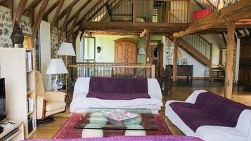 TV, fireplace, DVD player, books