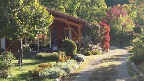 Una casetta di legno con un portico, immersa in un giardino ricco di piante e fiori.