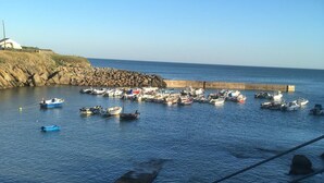 Una marina costera con barcos amarrados, un litoral rocoso y cielo despejado.