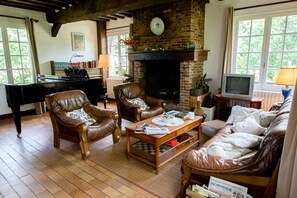 TV, fireplace, video games, DVD player