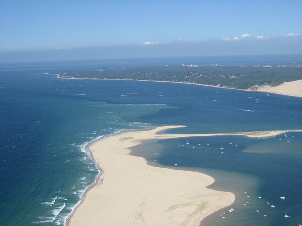 Beach - Gentleman House for rent for 10 on large vineyards (Juillac)