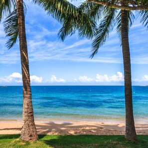 In Strandnähe, Strandtücher