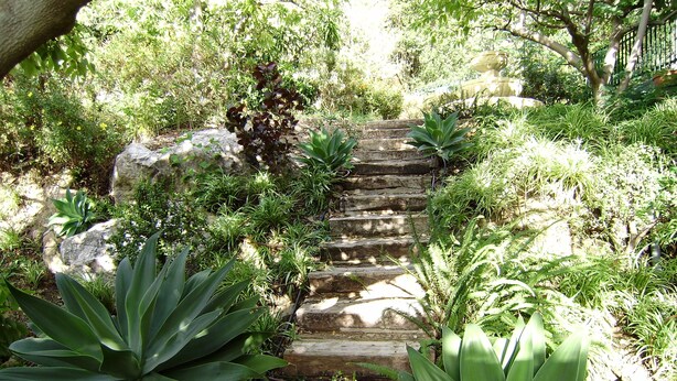 Eine Steintreppe, umgeben von üppigem Grün und großen Pflanzen.