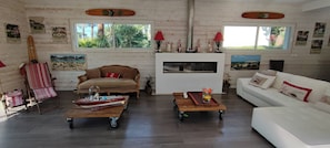 Televisio, takka, DVD-soitin, kirjoja