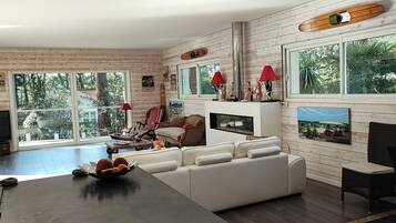 Una televisión, una chimenea, un reproductor de DVD, libros