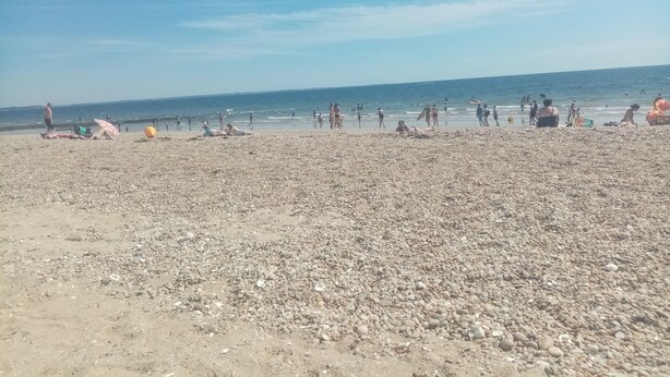 A pebbled beach with people sunbathing and swimming.