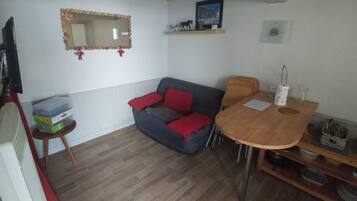 Flat-screen TV, DVD player, books, video library