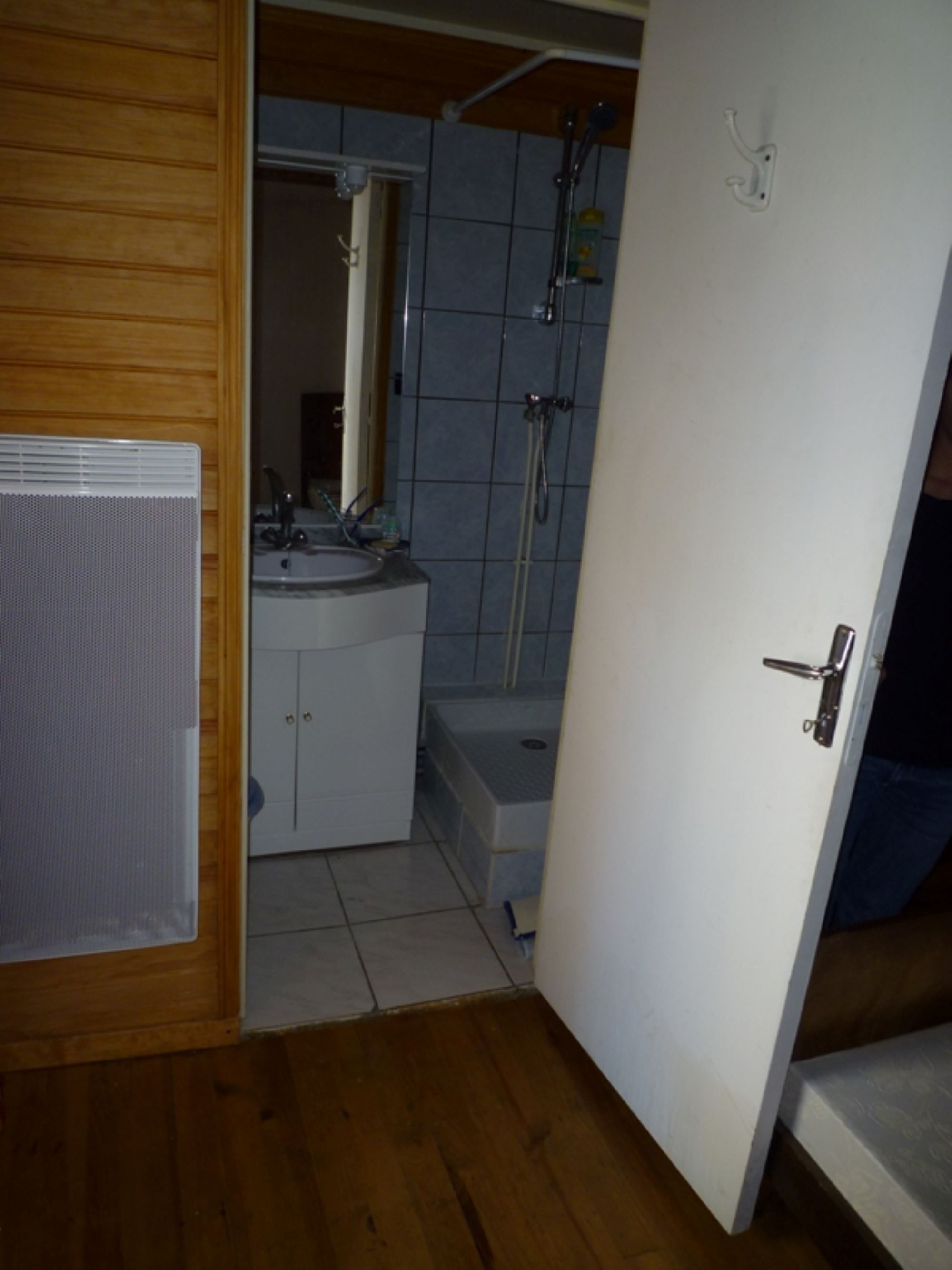 Shower, hair dryer