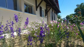 Exterior detail - House in the countryside in the heart of the Landes (Souprosse)