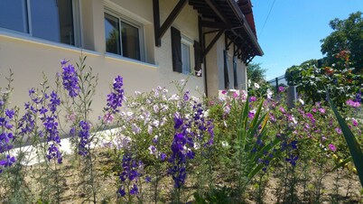 House in the countryside in the heart of the Landes