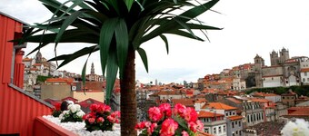 Lovely Duplex in the historical center of Oporto - High Standing