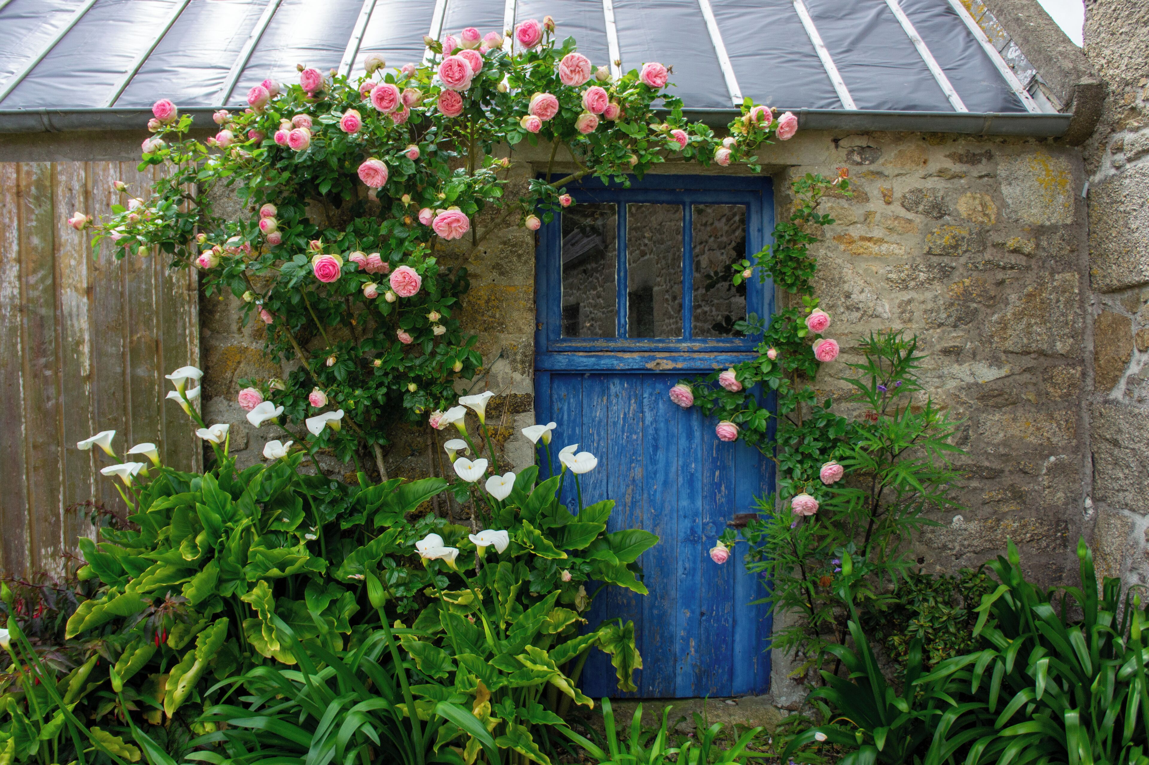 Detalle exterior