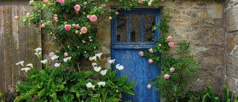 Detalle exterior