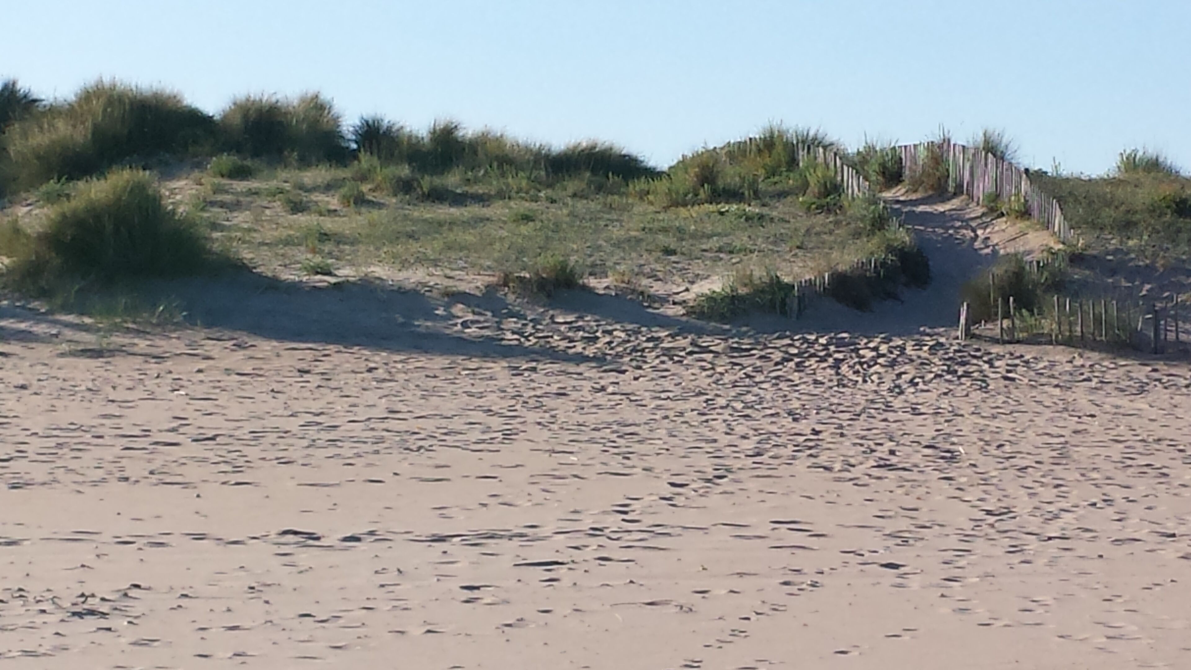A sandy beach with dunes and a wooden fence.