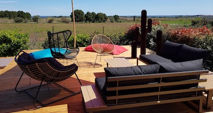 In het hart van een wijngaard, mooie huisje met uitzicht op zee en Thau uitzicht op het meer